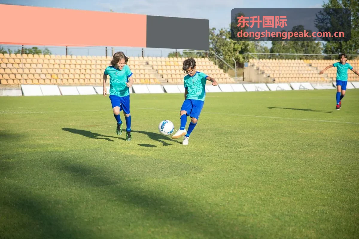 东升国际服务入口与客户端使用场景