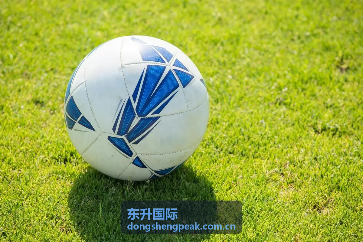 东升国际登录入口指南